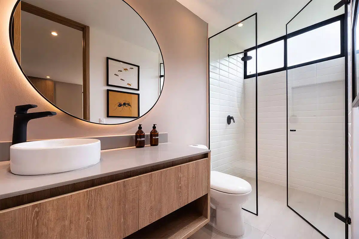 colonia--interior-v2--02