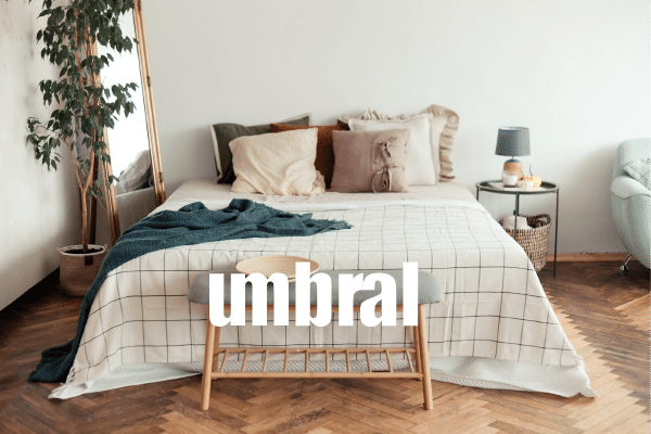 Blog Agosto