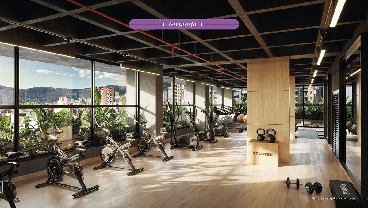 Gaia-zonas-comunes-gym