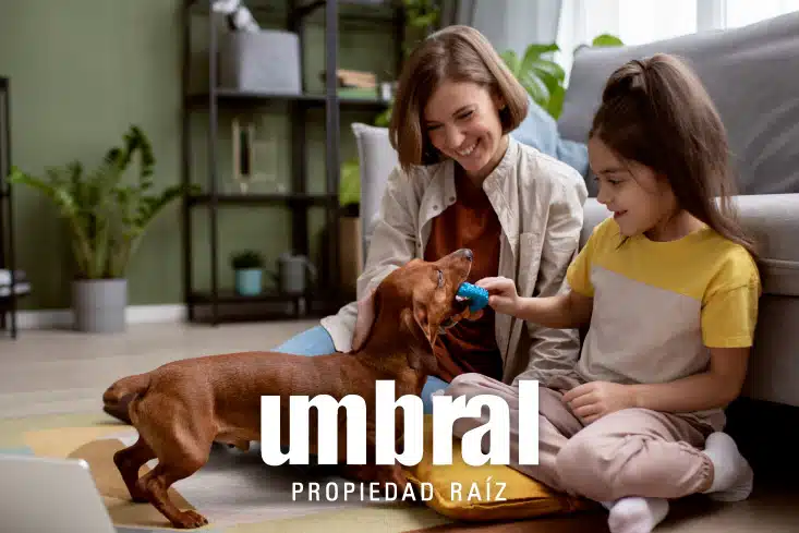 Imagen destacada blog cesantias