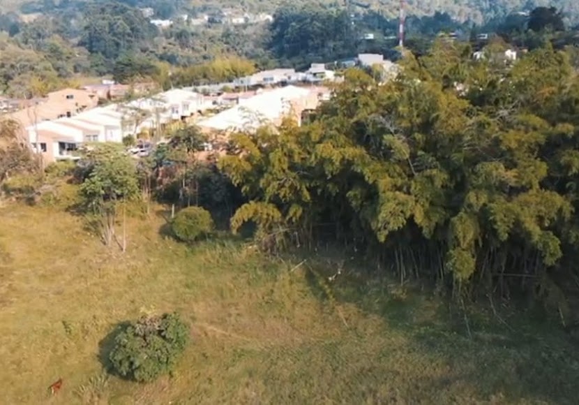 Arrendamientos Umbral