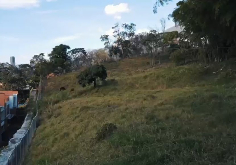 Arrendamientos Umbral