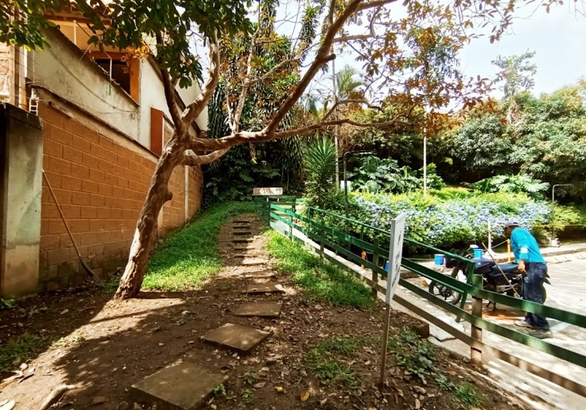 Arrendamientos Umbral