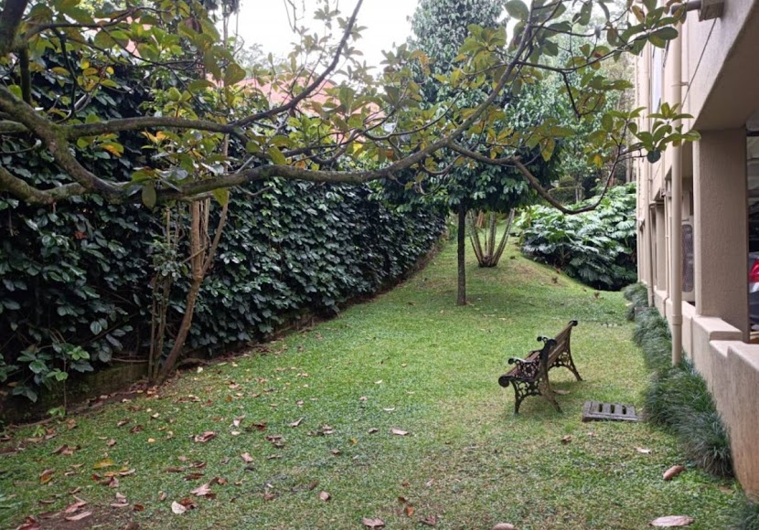 Arrendamientos Umbral